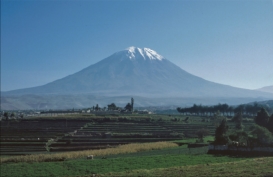 terrace cultivation