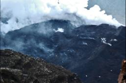 seagulls over lava flow