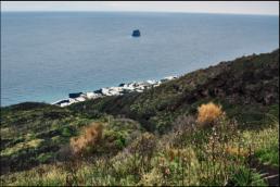 spring vegetation,  Scari, Strombolicchio